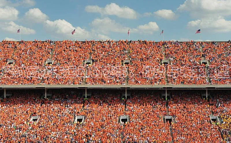 九游会j9官网登录入口