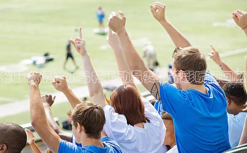 j9九游真人游戏第一平台