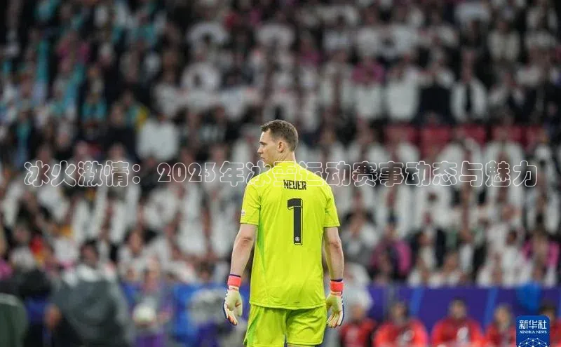 冰火激情：2023年冰雪运动赛事动态与魅力