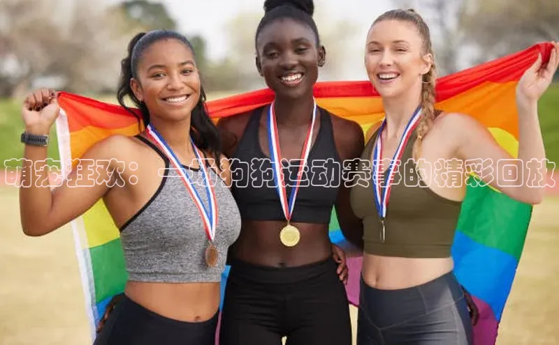 萌宠狂欢：一场狗狗运动赛事的精彩回放