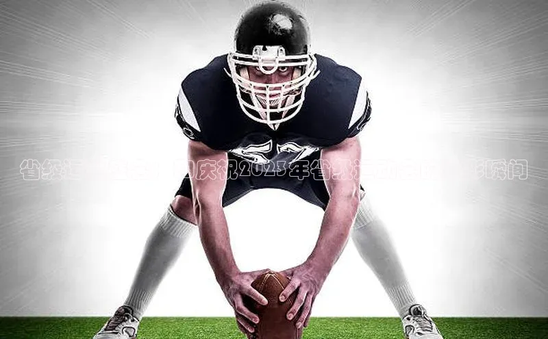 省级运动盛会：和庆祝2023年省级运动会的精彩瞬间